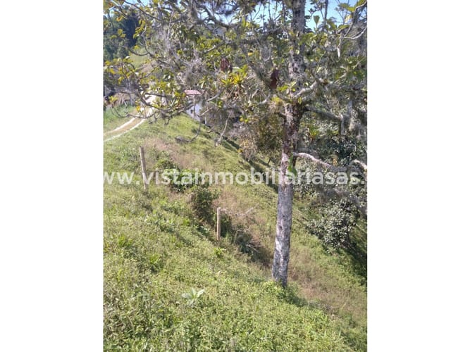 Lote en venta en San Peregrino, Manizales, 1534 m² · foto 4 de 7