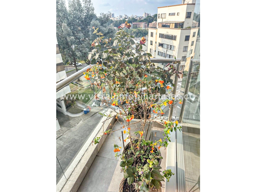 Apartamento en venta en Palermo, Manizales · foto 8 de 24