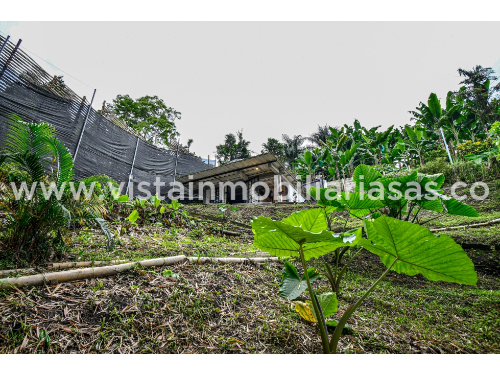 Casa en venta en San Peregrino, Manizales · foto 18 de 24
