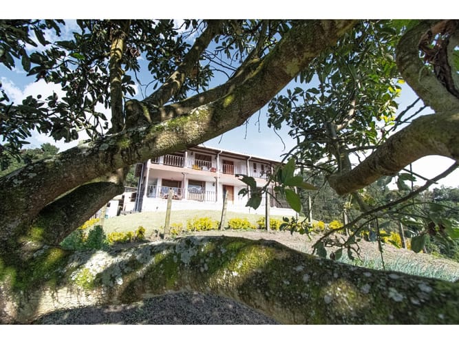 Finca en venta en Sancancio, Manizales, 400 m² · foto 15 de 24