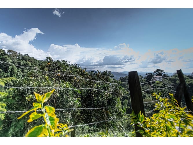 Finca en venta en Sancancio, Manizales, 400 m² · foto 18 de 24
