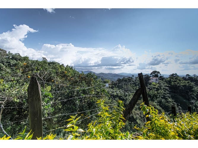 Finca en venta en Sancancio, Manizales, 400 m² · foto 19 de 24