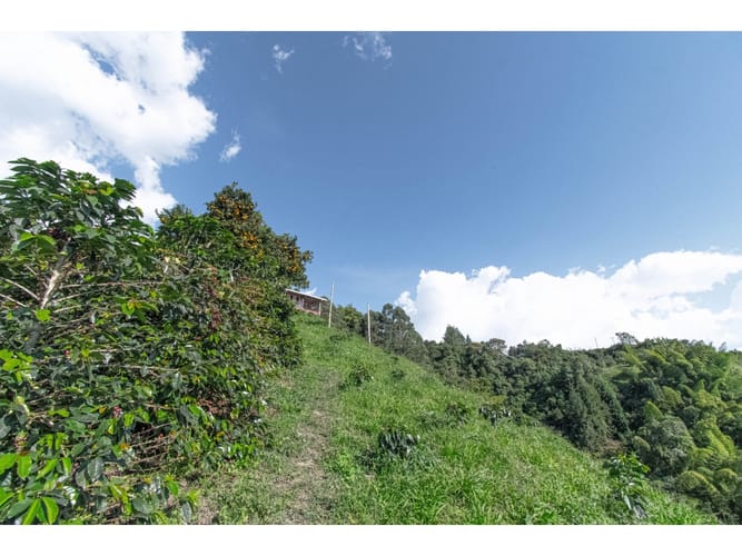 Finca en venta en Sancancio, Manizales, 400 m² · foto 20 de 24