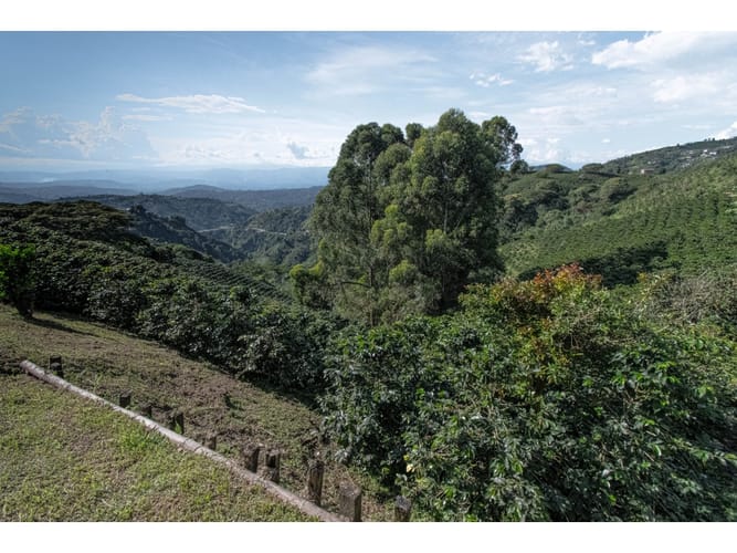 Finca en venta en Sancancio, Manizales, 400 m² · foto 21 de 24