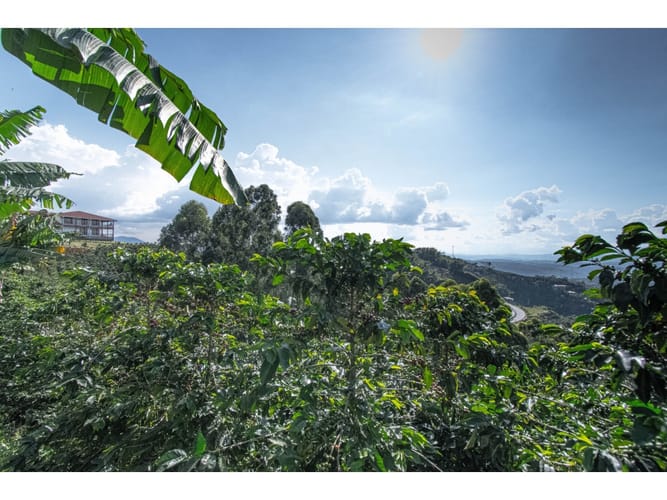 Finca en venta en Sancancio, Manizales, 400 m² · foto 23 de 24