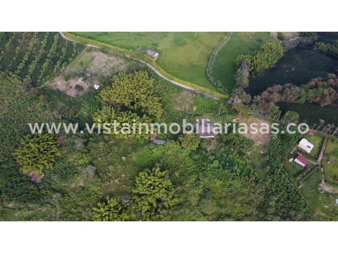 Finca en venta en Lisboa, Manizales, 7645 m² · foto 6 de 10