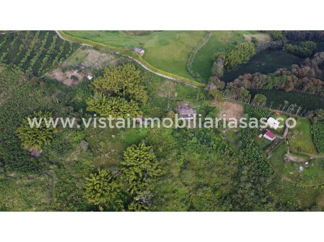 Finca en venta en Lisboa, Manizales, 7645 m² · foto 7 de 10