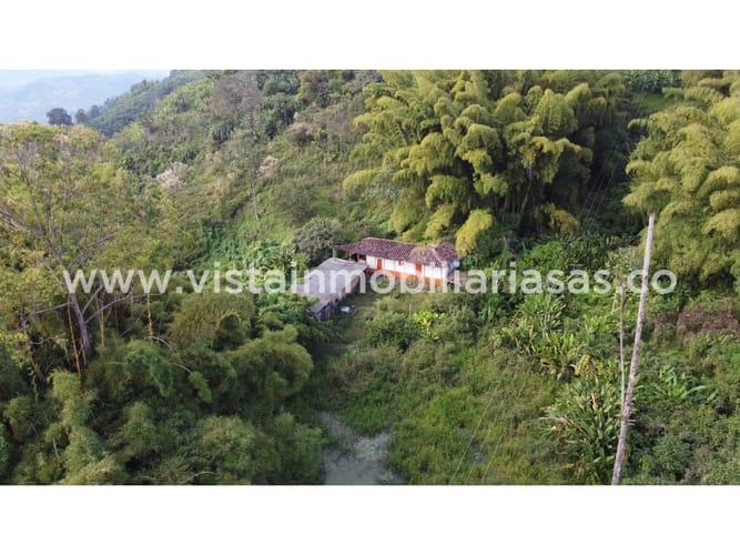 Finca en venta en Lisboa, Manizales, 7645 m² · foto 10 de 10