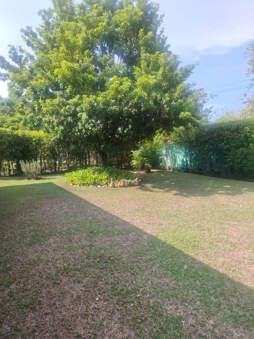 Casa de 4 alcobas en venta en Pance, Cali, 350 m² · foto 8 de 24