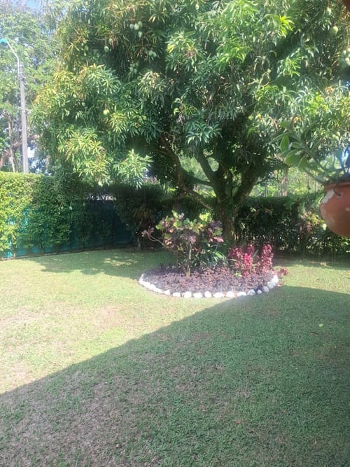 Casa de 4 alcobas en venta en Pance, Cali, 350 m² · foto 9 de 24