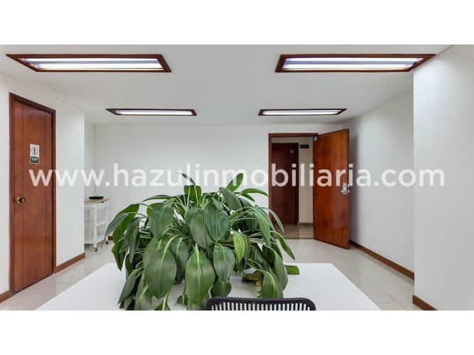 Oficina en arriendo en Avenida Santander, Manizales, 30 m² · foto 7 de 8