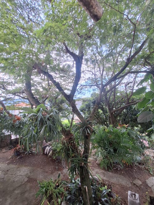 Casa de 3 alcobas en venta en Golondrinas, Cali · foto 11 de 16
