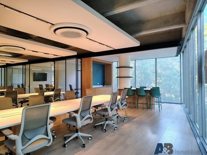 Oficina en arriendo en Laureles, Medellín, 270 m² · foto 4 de 24
