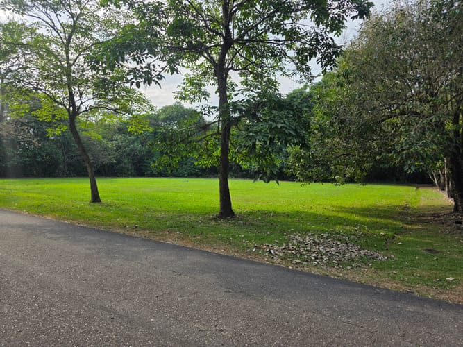 Lote en venta en Jordan Alto, Villavicencio, 4000 m² · foto 3 de 3