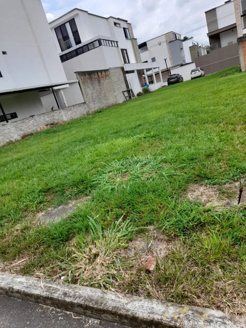 Lote en venta en Las Mercedes, Jamundí, 225 m² · foto 4 de 24