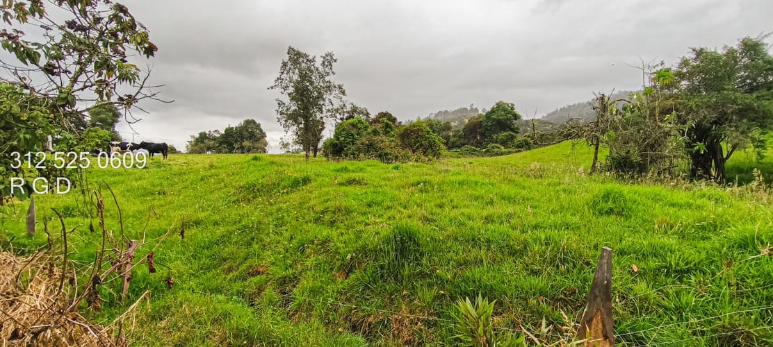 Lote en venta en Mercenario, Sopó, 3048 m² · foto 10 de 21