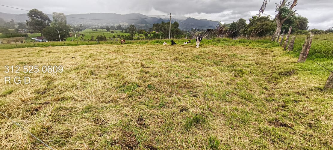 Lote en venta en Mercenario, Sopó, 3048 m² · foto 21 de 21