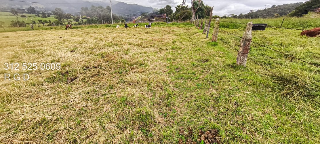 Lote en venta en Mercenario, Sopó, 3048 m² · foto 20 de 21