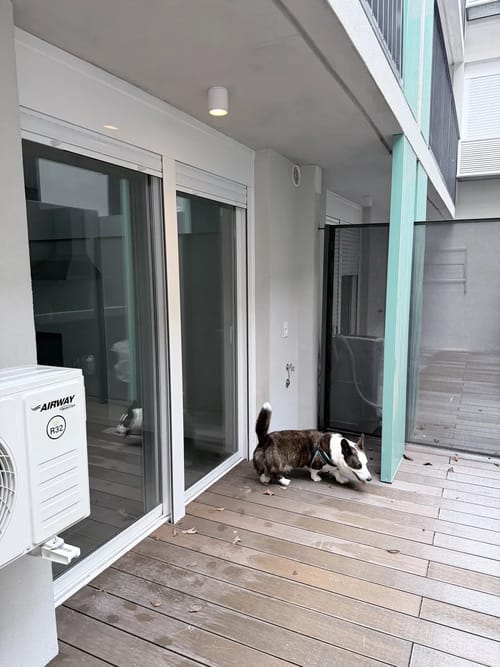 Alquilo Apartamento 1 dormitorio a estrenar con garaje Punta Carretas · Photo 4