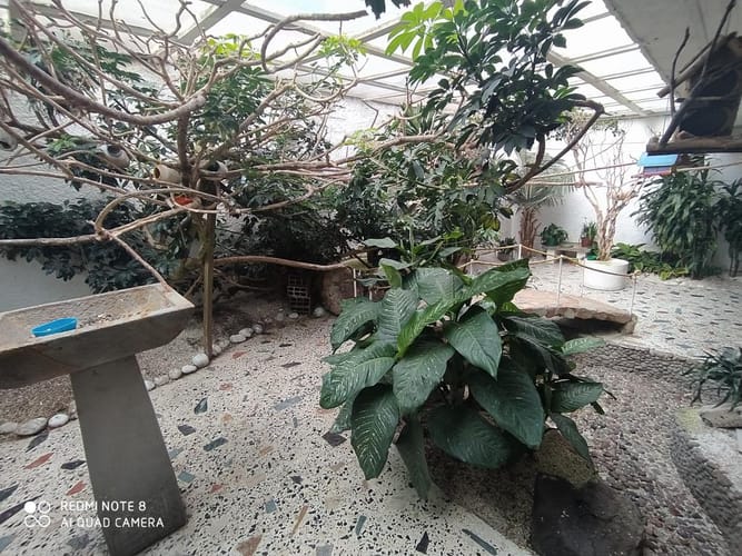 Casa de 5 alcobas en venta en Gran America, Bogotá, 380 m² · foto 10 de 24