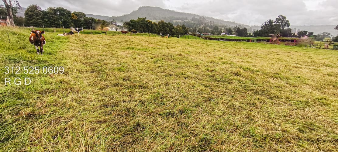 Lote en venta en Montana, Sopó, 3048 m² · foto 22 de 24