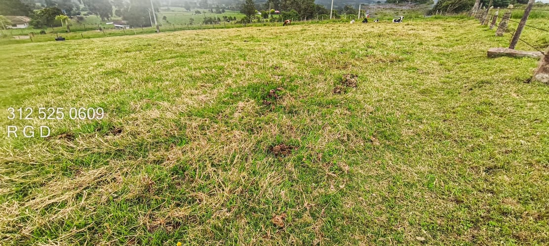 Lote en venta en Montana, Sopó, 3048 m² · foto 24 de 24