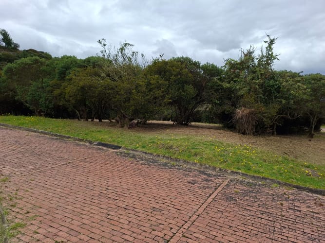 Lote en venta en Yerbabuena, Sopó, 2080 m² · foto 5 de 14