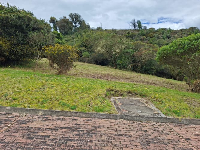Lote en venta en Yerbabuena, Sopó, 2080 m² · foto 7 de 14