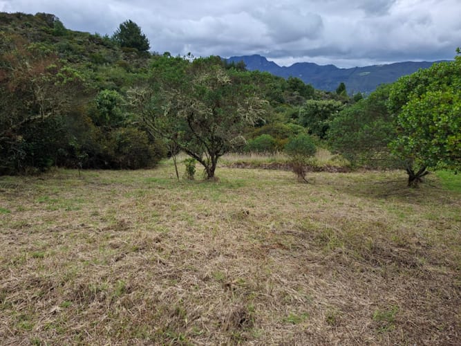 Lote en venta en Yerbabuena, Sopó, 2080 m² · foto 8 de 14