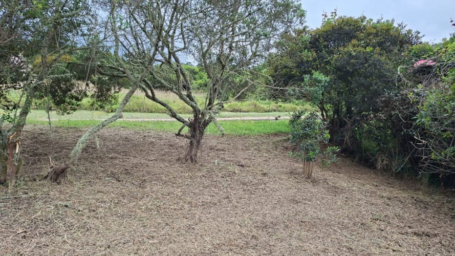 Lote en venta en Yerbabuena, Sopó, 2080 m² · foto 12 de 14