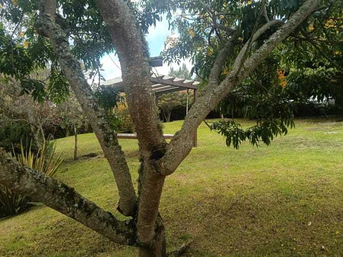 Finca en venta en El Volcan, La Calera, 520 m² · foto 21 de 24