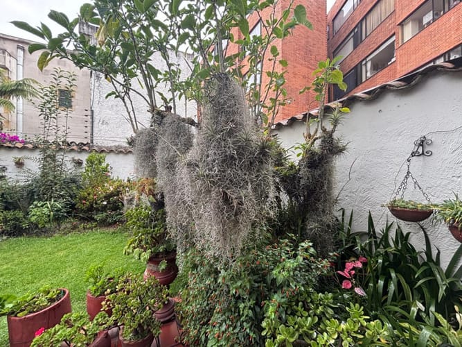 Casa de 5 alcobas en venta en Niza Norte, Bogotá, 309 m² · foto 17 de 24