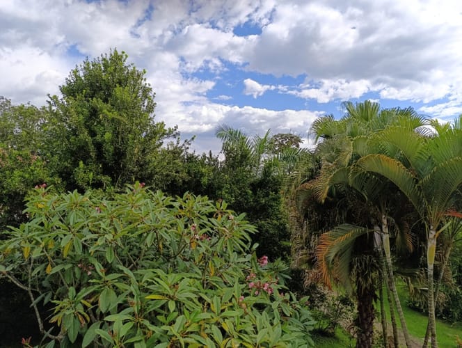 Casa de 4 alcobas en venta en Armenia, 400 m² · foto 5 de 24