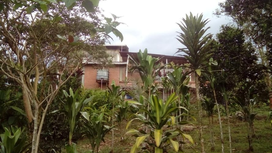 Finca en venta en Tribunas Corcega, Pereira, 480 m² · foto 7 de 16