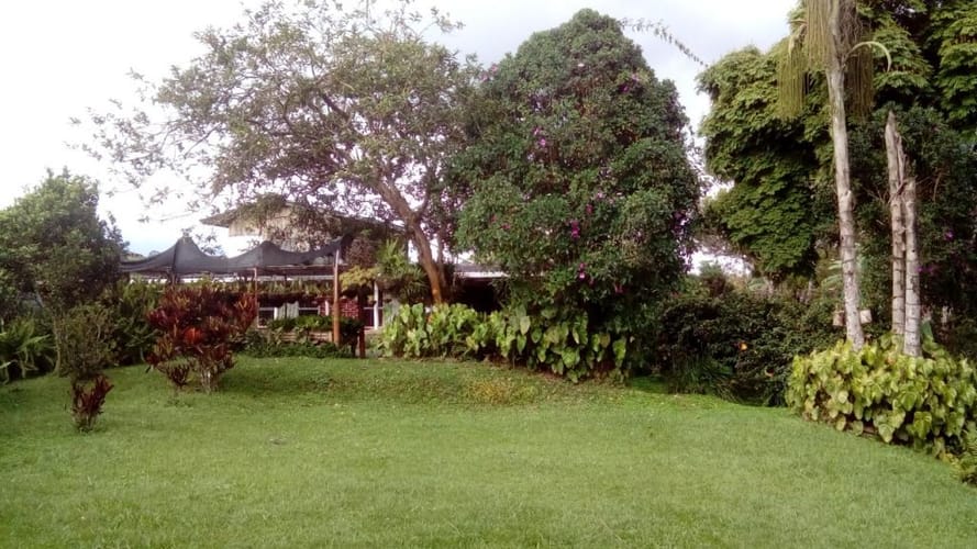 Finca en venta en Tribunas Corcega, Pereira, 480 m² · foto 9 de 16