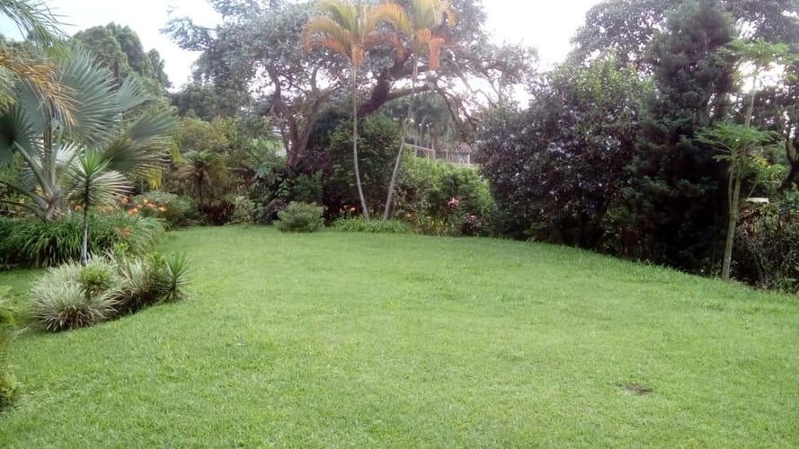 Finca en venta en Tribunas Corcega, Pereira, 480 m² · foto 10 de 16