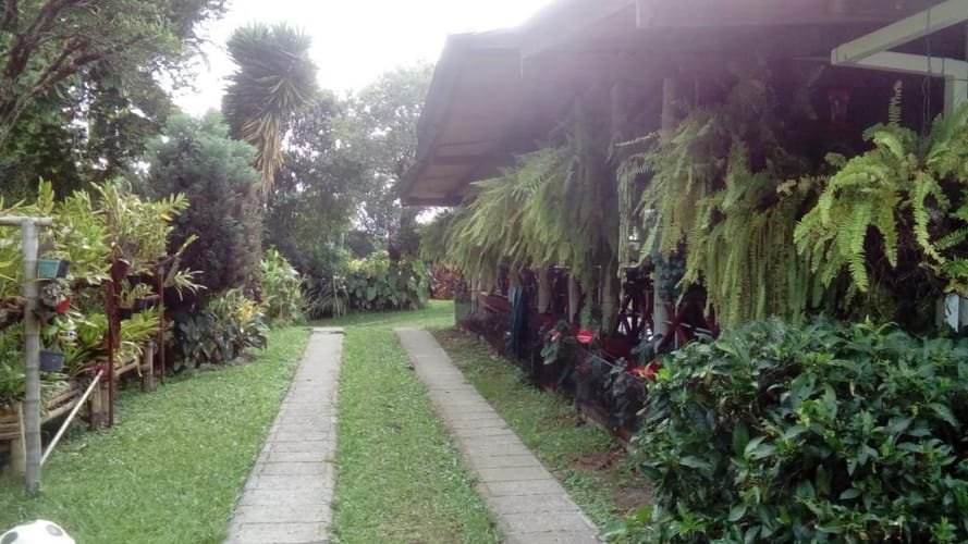 Finca en venta en Tribunas Corcega, Pereira, 480 m² · foto 12 de 16