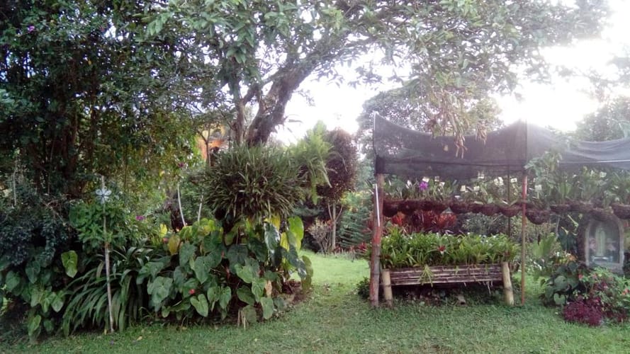 Finca en venta en Tribunas Corcega, Pereira, 480 m² · foto 14 de 16