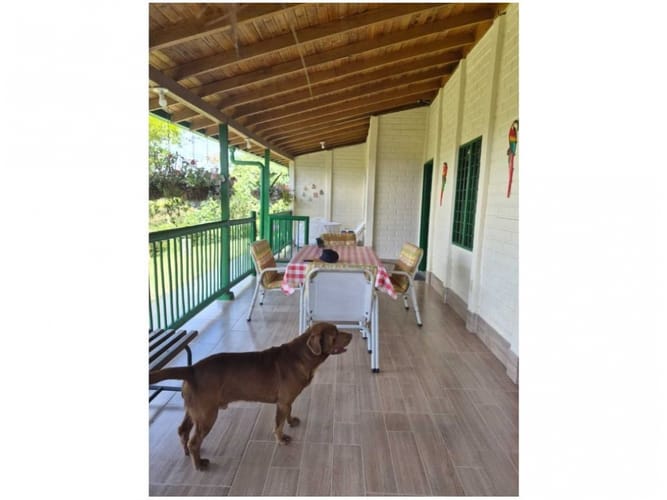 Finca en venta en Maria Auxiliadora, Marinilla, 100 m² · foto 10 de 18