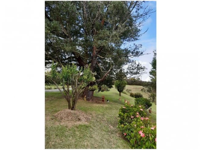 Finca en venta en Maria Auxiliadora, Marinilla, 100 m² · foto 14 de 18