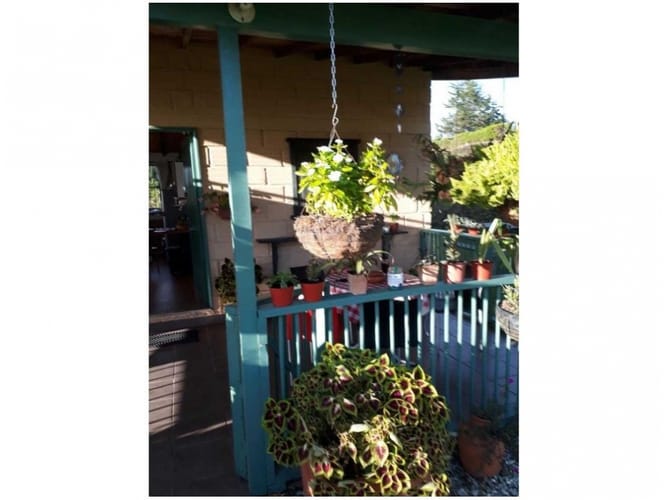 Finca en venta en Campo Alegre, Marinilla, 70 m² · foto 5 de 16