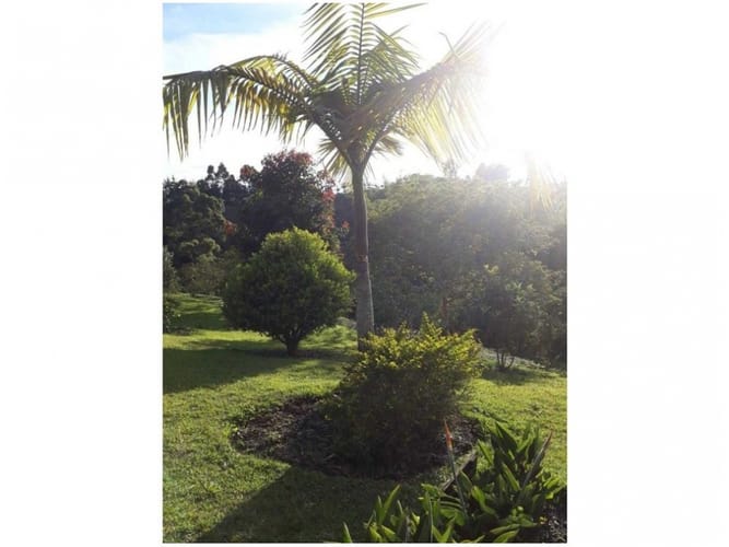 Finca en venta en Campo Alegre, Marinilla, 70 m² · foto 9 de 16
