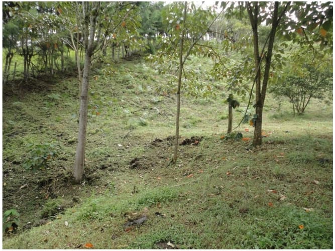 Finca en venta en Campo Alegre, Marinilla, 70 m² · foto 13 de 16