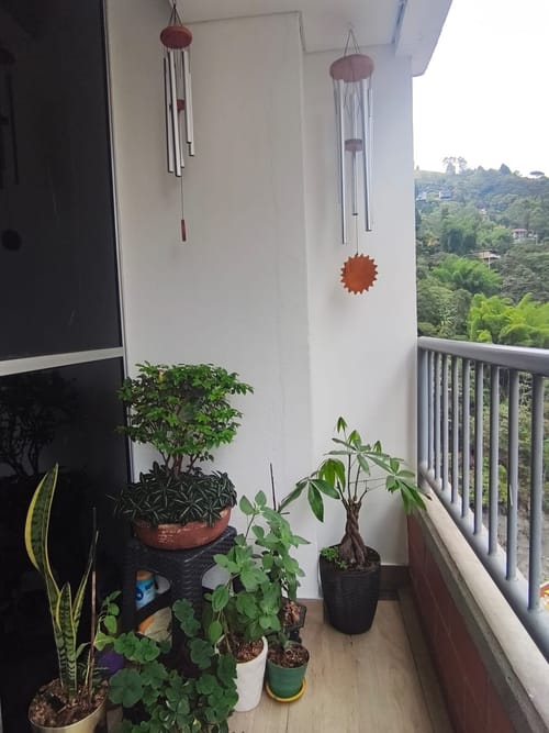 Apartamento de 3 alcobas en venta en Cañaveralejo, Sabaneta, 55 m² · foto 15 de 24