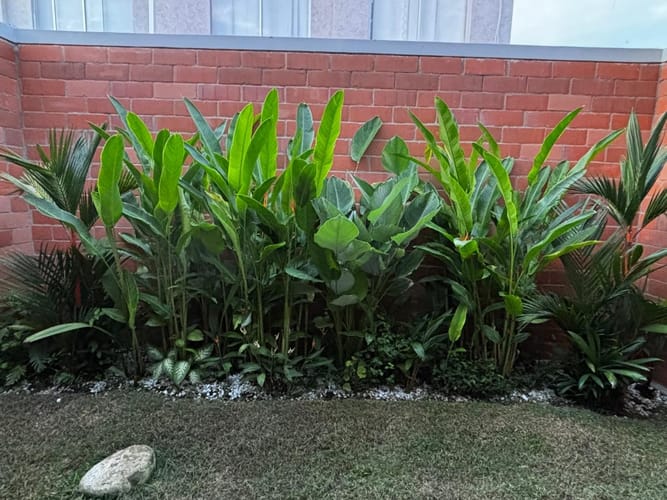 Casa de 3 alcobas en venta en Ciudad Country, Jamundí, 110 m² · foto 4 de 6