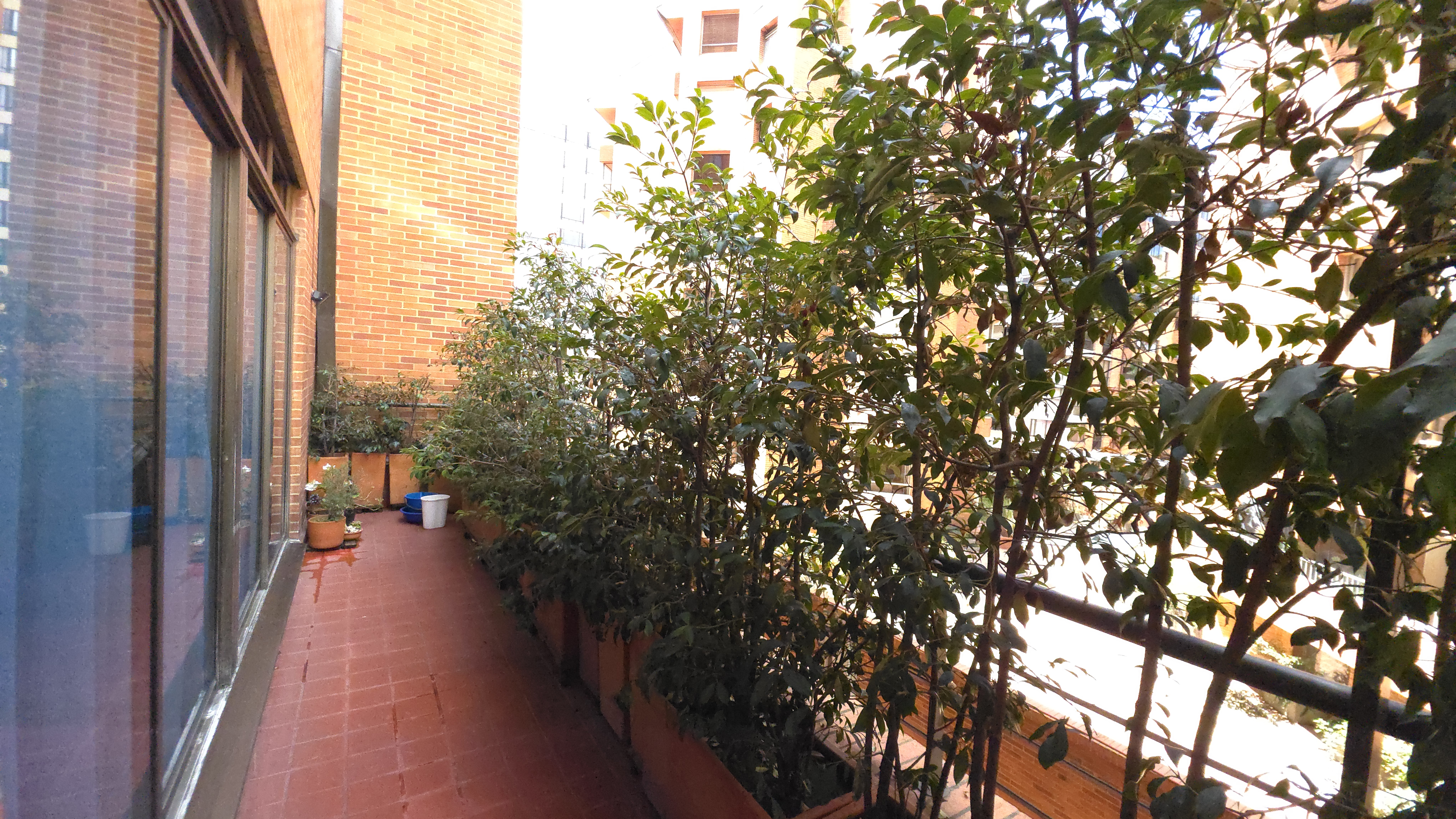 Apartamento en venta en Chicó Alto, Bogotá · foto 8 de 19