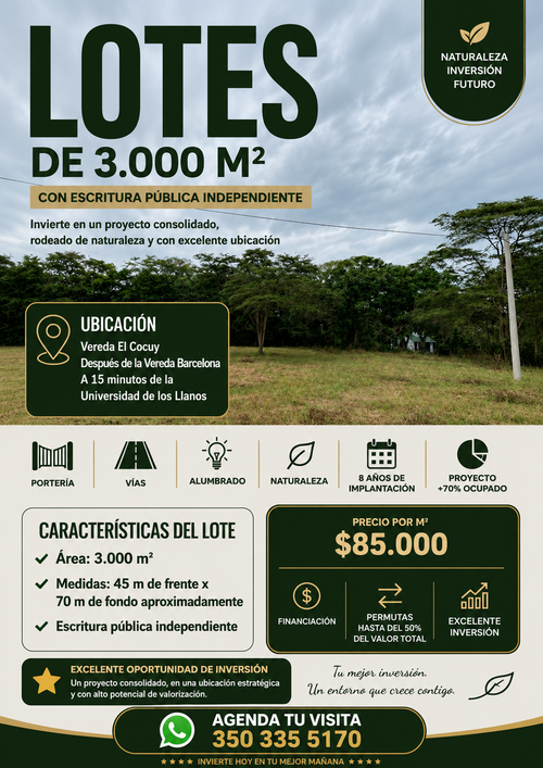 Lote en venta en El Cocuy, Villavicencio, 3092 m² · foto 3 de 15