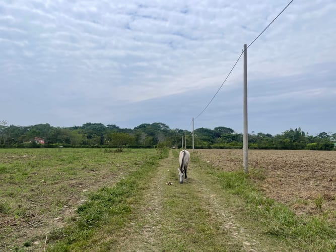 Lote en venta en El Cocuy, Villavicencio, 3092 m² · foto 7 de 15