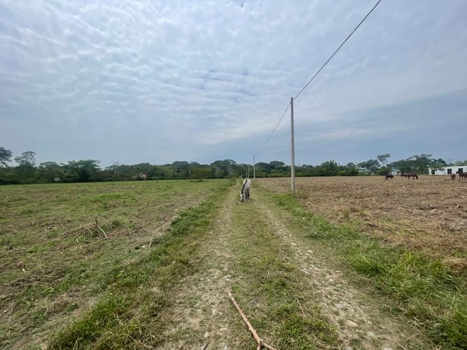 Lote en venta en El Cocuy, Villavicencio, 3092 m² · foto 9 de 15