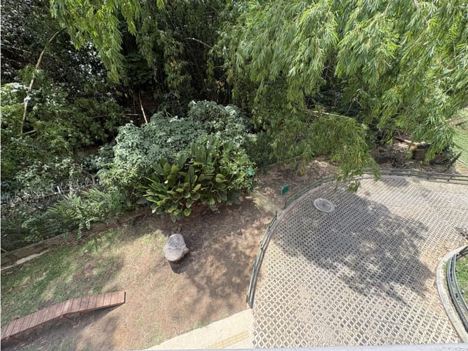 Apartamento de 3 alcobas en arriendo en Urbanizacion Villa Linda, Medellín, 115 m² · foto 15 de 22